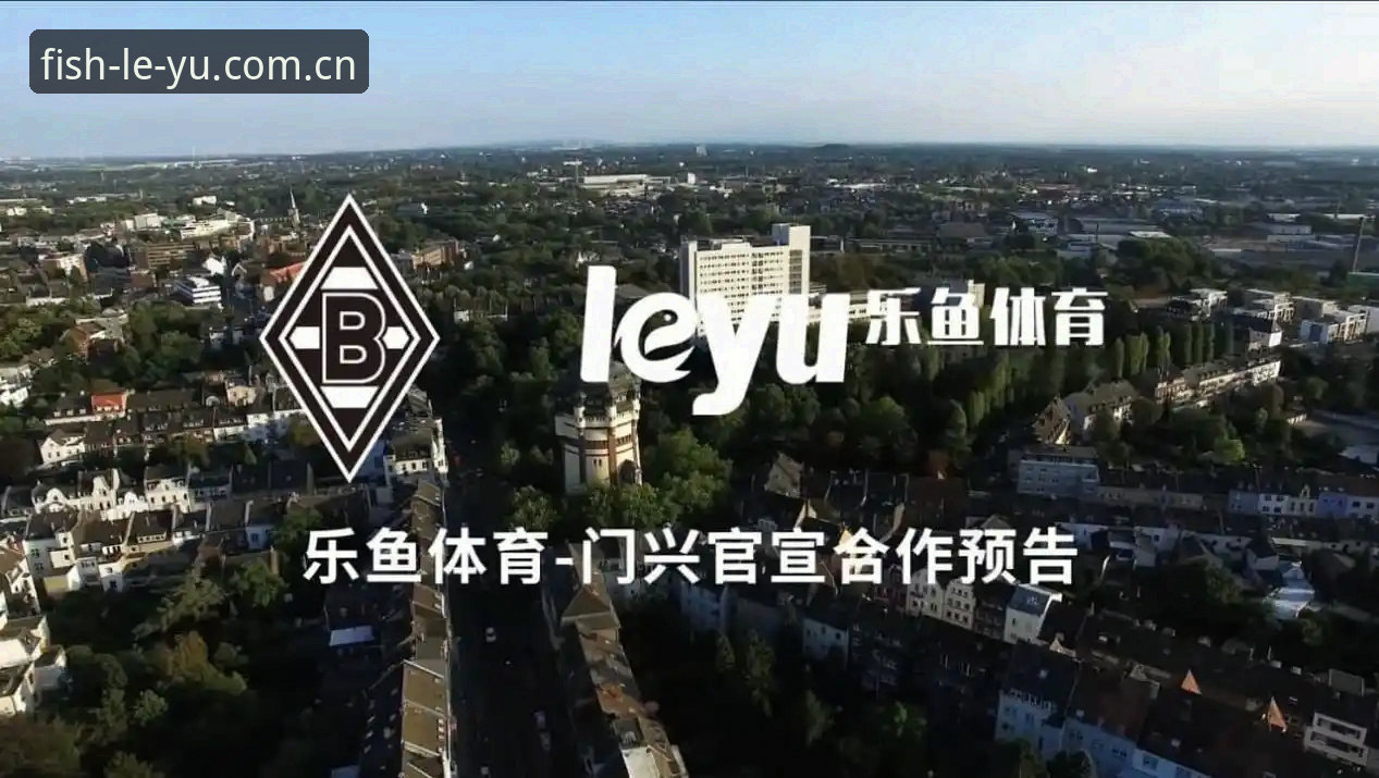 最新leyu乐鱼安装 leyu乐鱼体育安装实用指南:2024最新版下载与性能深度评测
