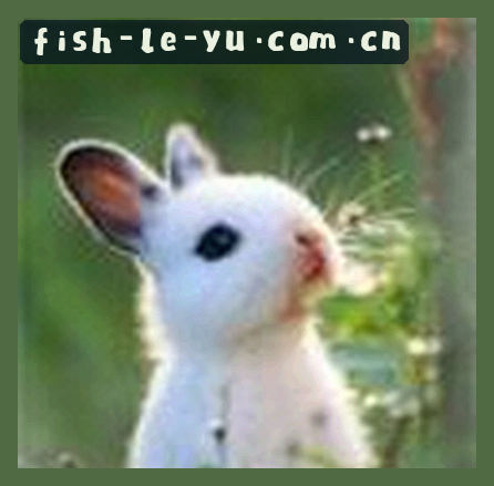 赵敏